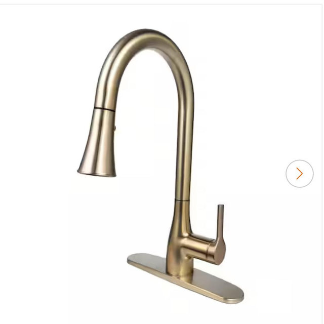 FLOW Classic Series Single-Handle Pull-Down Sprayer Kitchen Faucet in Champagne Gold