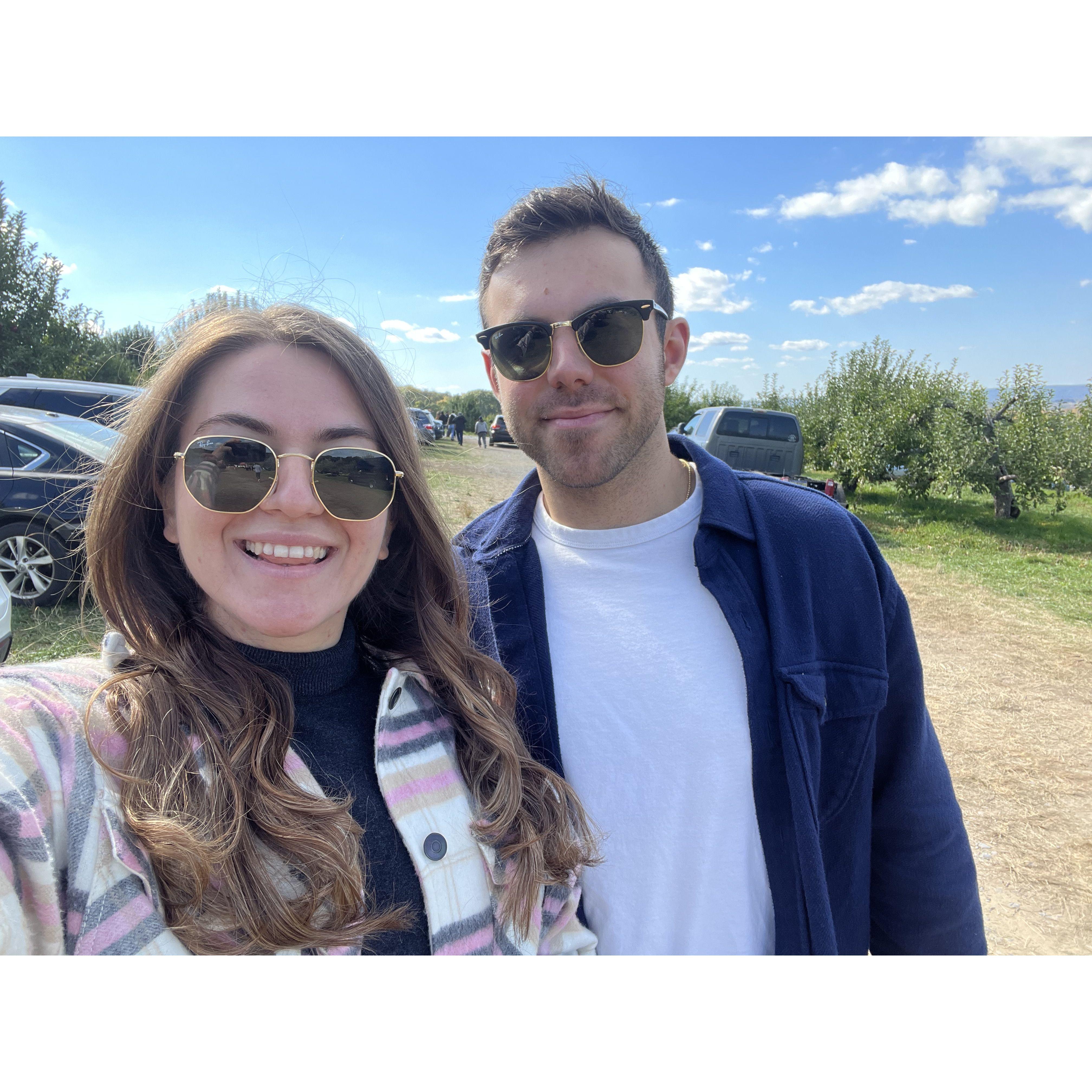 Apple picking in the Fall