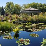 Denver Botanic Gardens