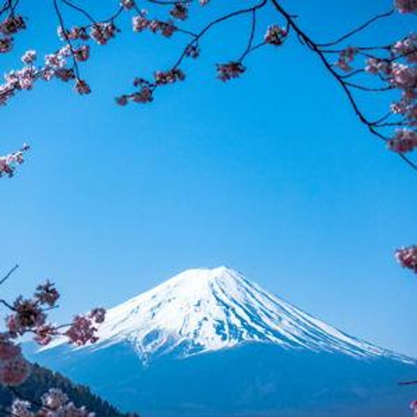 Roundtrip Flights to Japan