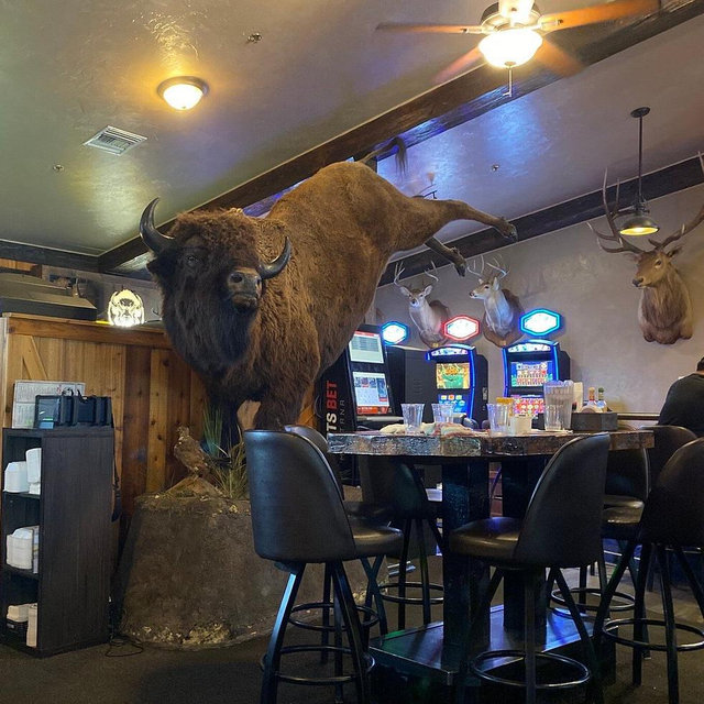 The buffalo bar (steaks and burgers)