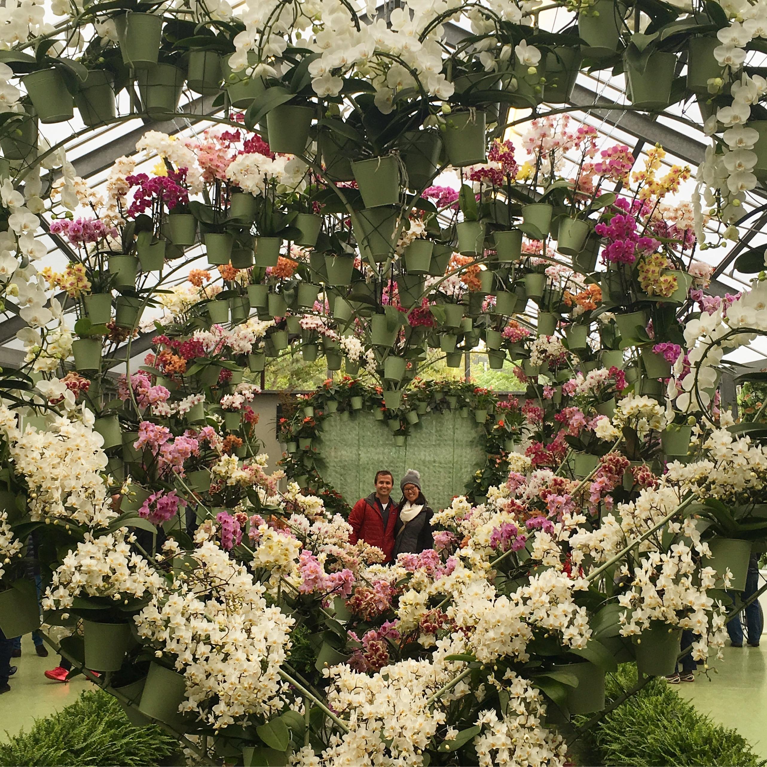 Keukenhof Gardens - Amsterdam