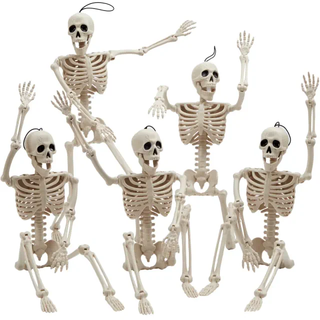Joyfy 16" 5 PCS Halloween Skeleton Decorations Full Body Poseable Joints for Halloween Party Favors Spooky Scene Decor Haunted House Graveyard Props