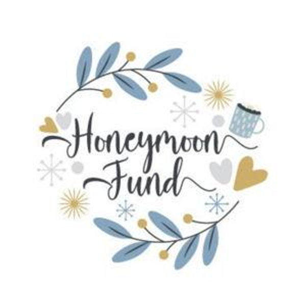 Our Honeymoon Fund (Venmo)