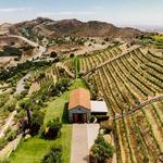Cielo Farms