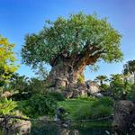 Disney's Animal Kingdom