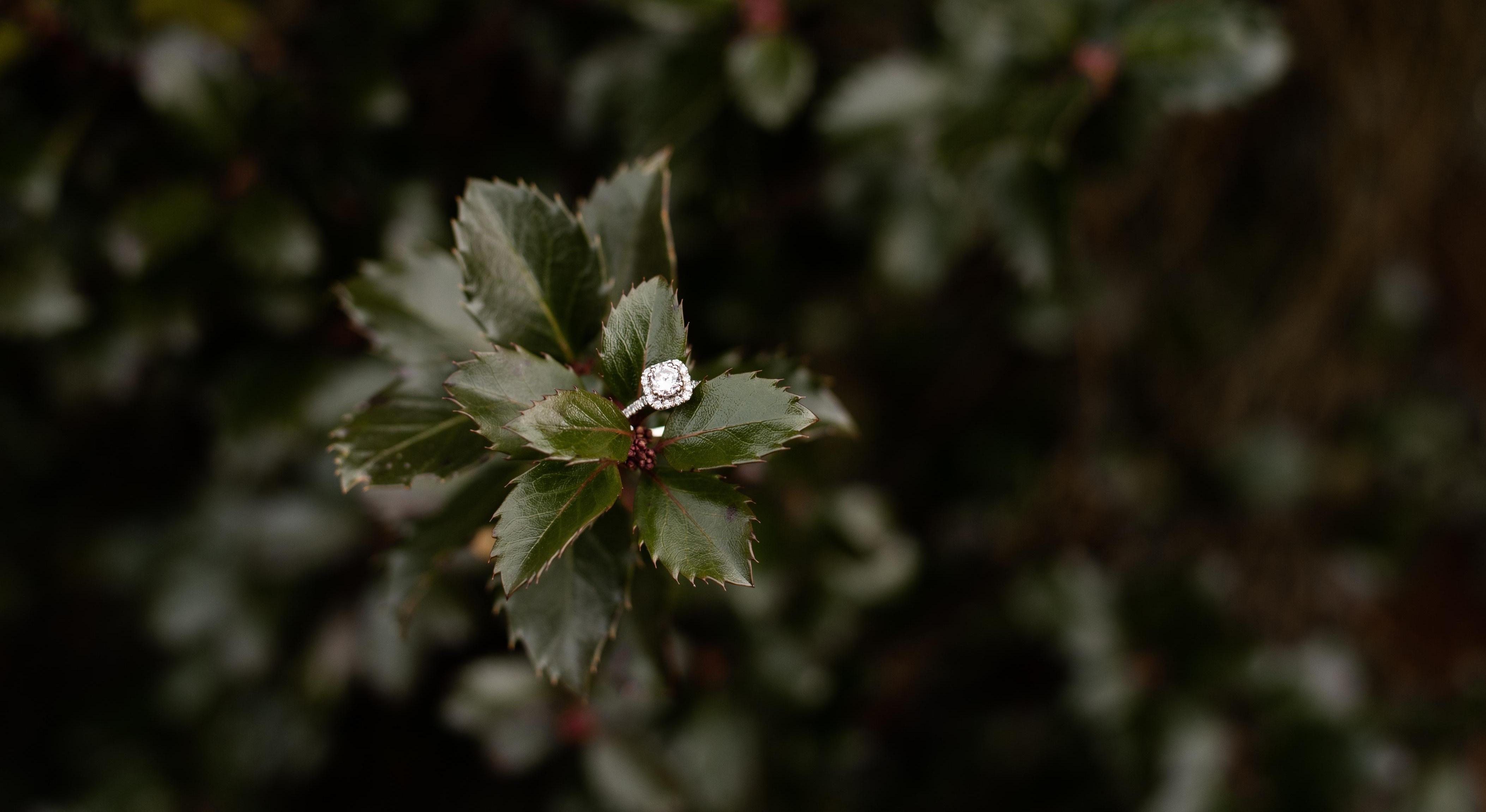 Footer image