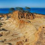 Torrey Pines State Natural Reserve
