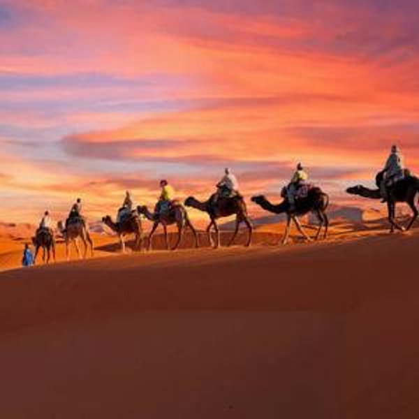 Camel Ride in Morocco