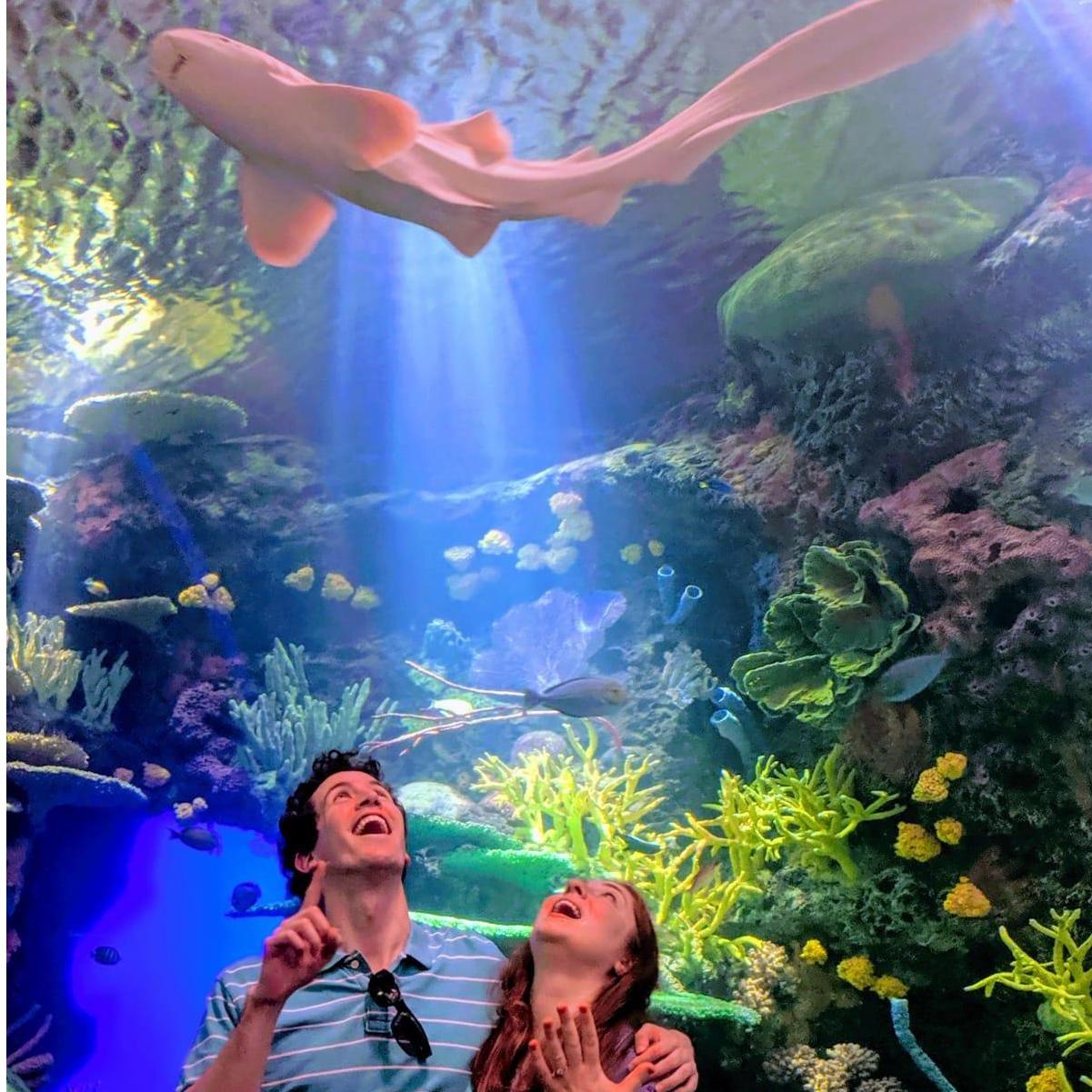 The proposal!