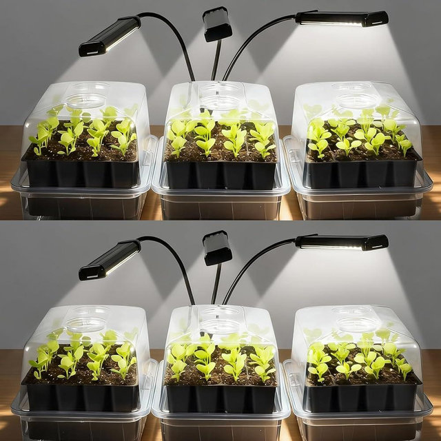 SOLIGT 144 Cell Self Watering Seed Starter Trays with 2 Grow Lights, 6 Seed Starter Kit with Humidity Domes, Full Spectrum Seedling Light with 8/12/18H Timer for Seed Starting, Seedling Growing