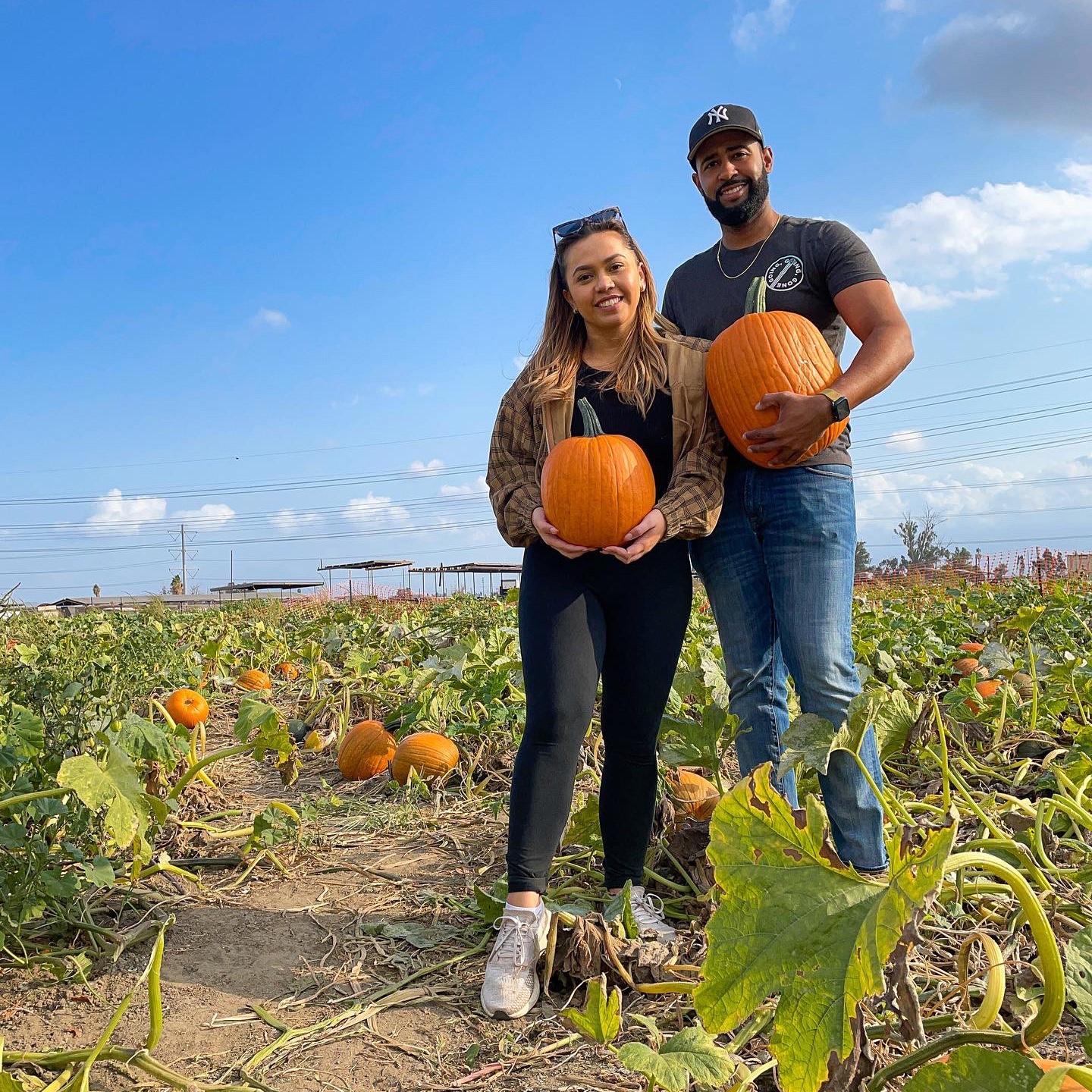 Finding the best pumpkin in the patch