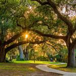 City Park