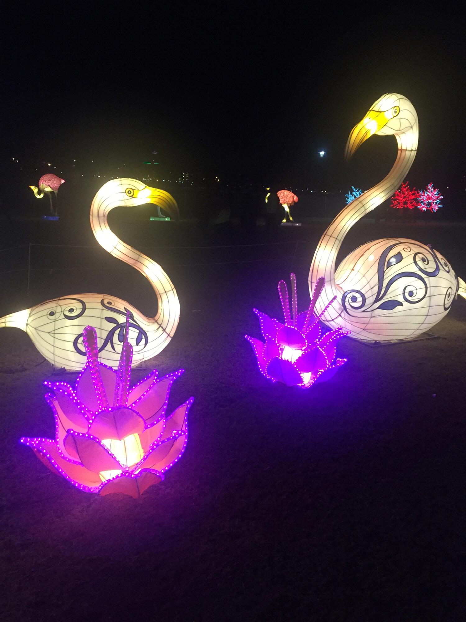 Lantern Festival