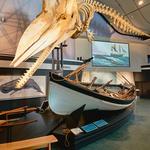 Whaling Museum
