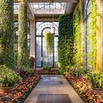 Longwood Gardens