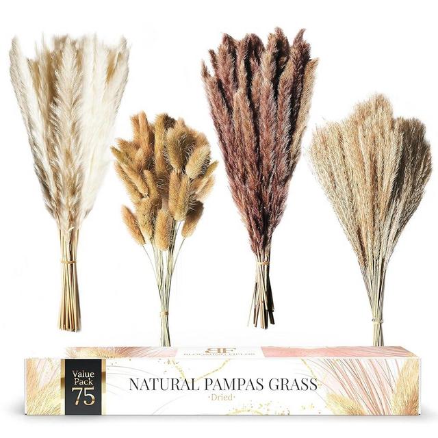 Blooming Fields Dried Pampas Grass Decor - 75-Pack Natural Pompous Grass 17" Tall Small Pompas Floral Boho Flowers Large Bouquet - 20 x White Pampass 20 x Brown Pompass 20 x Horsetail 15 x Bunny Tails