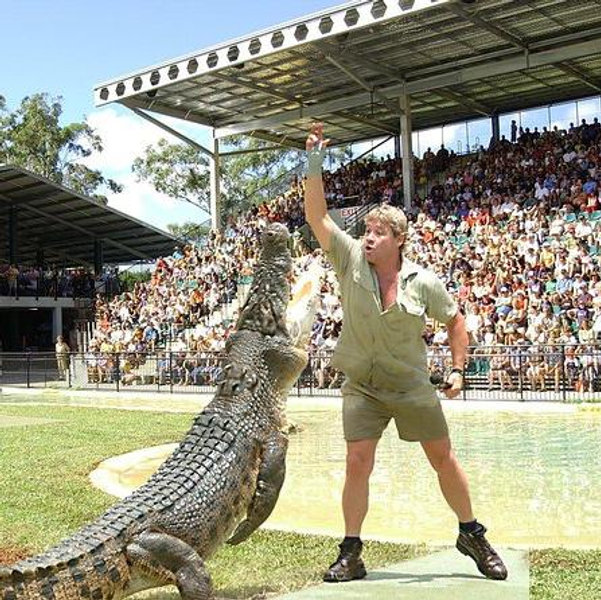 Honeymoon - Australia Zoo & Sunshine Coast!