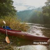River Wildlife - Recreational Activities