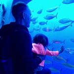 Monterey Bay Aquarium