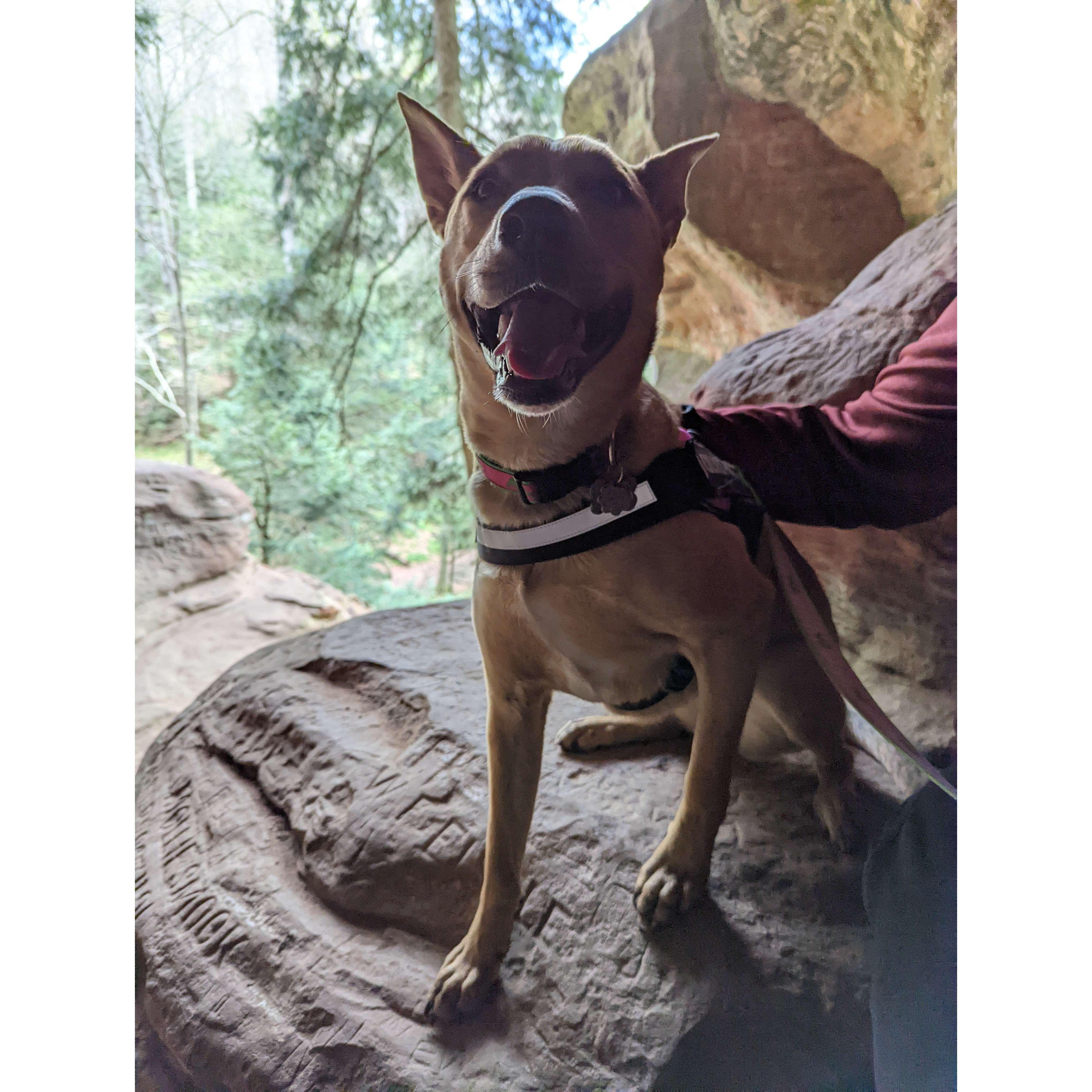 Maisel at Rock House, living her best life