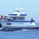 Dana Wharf Sportfishing & Whale Watching