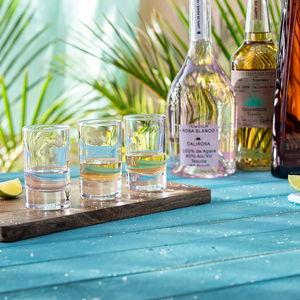 Agave Adventure