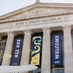 Shedd Aquarium