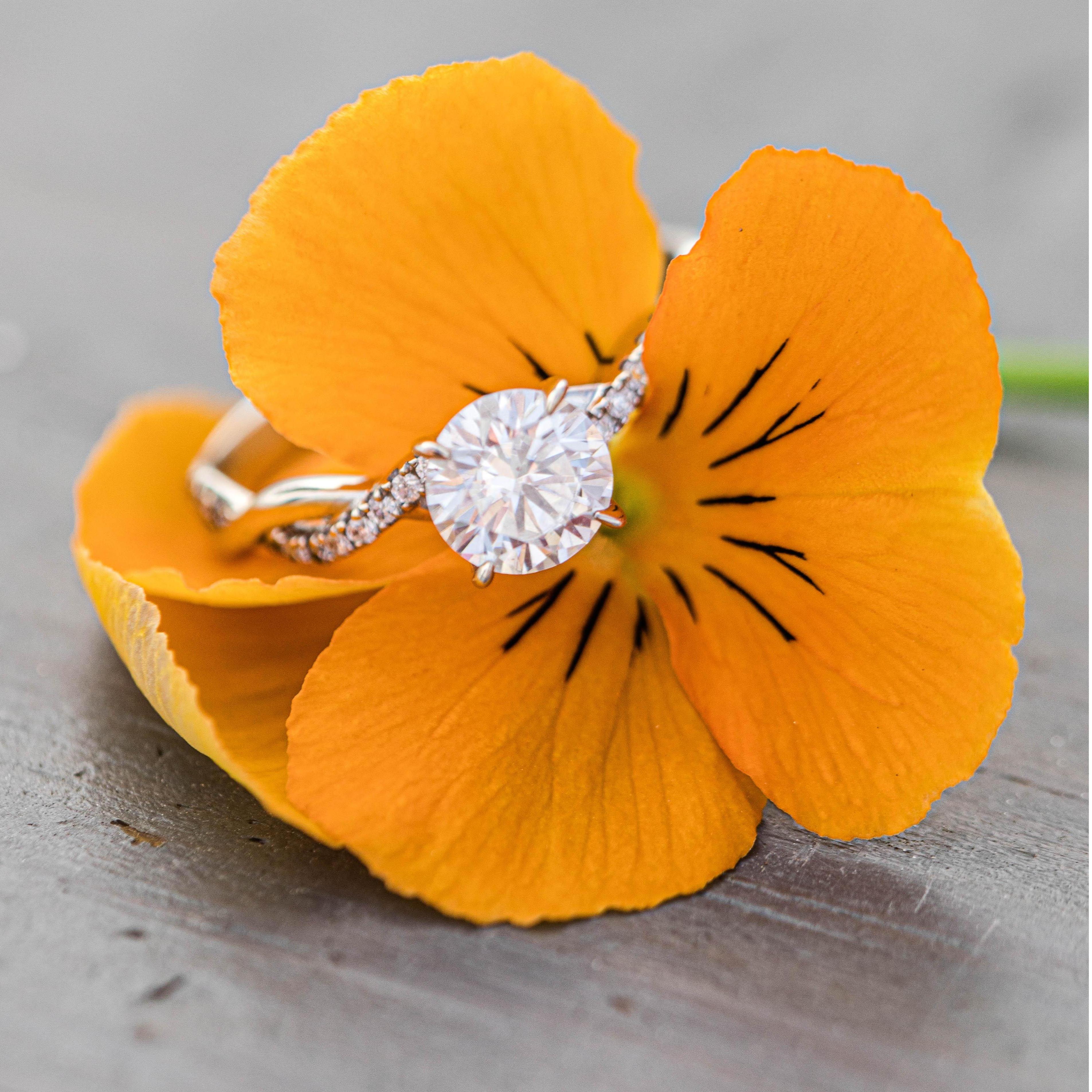 The ring!