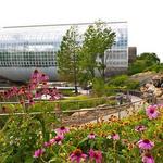 Myriad Botanical Gardens