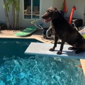 Pool Fund