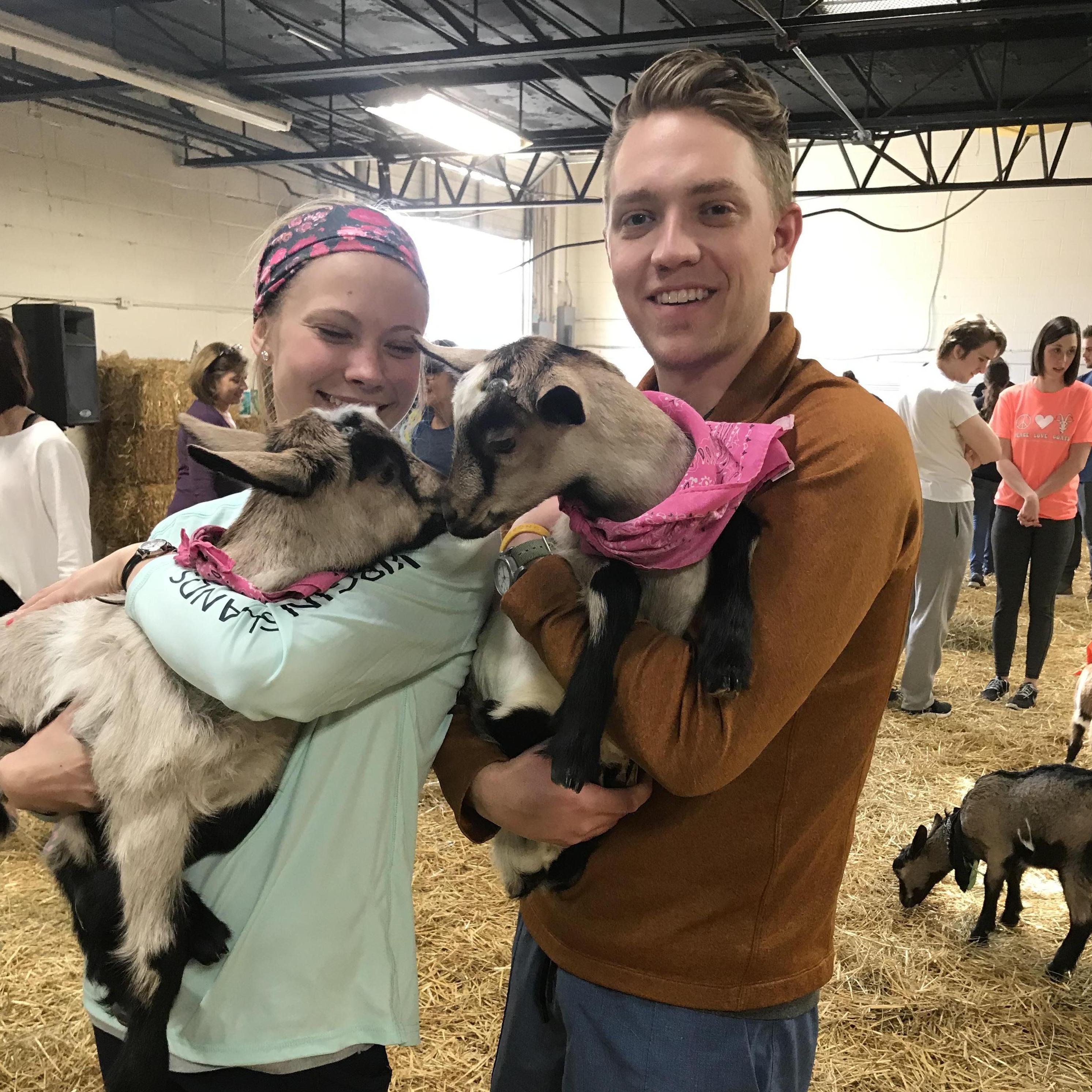 Baby Goat Yoga!