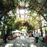 Vinyard Farmers Market