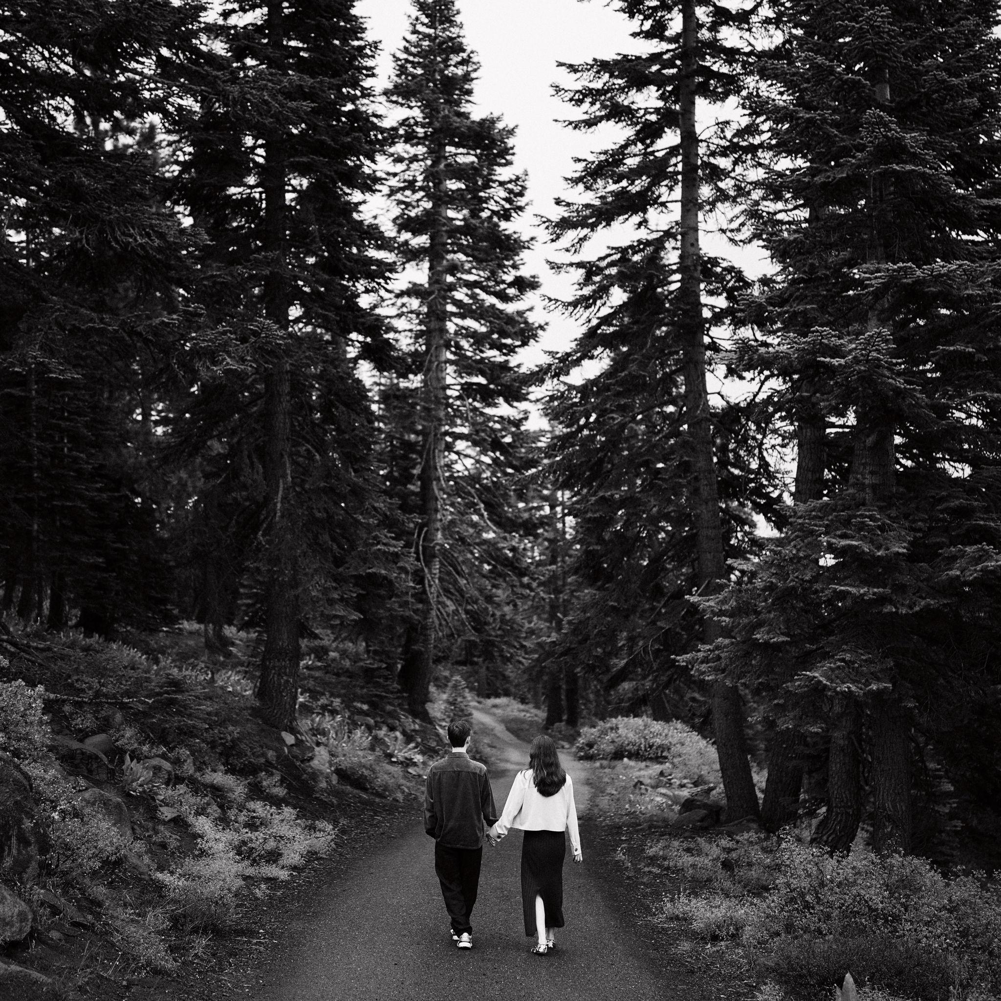 Tahoe, August 25, 2025 - hoa hoa hoa