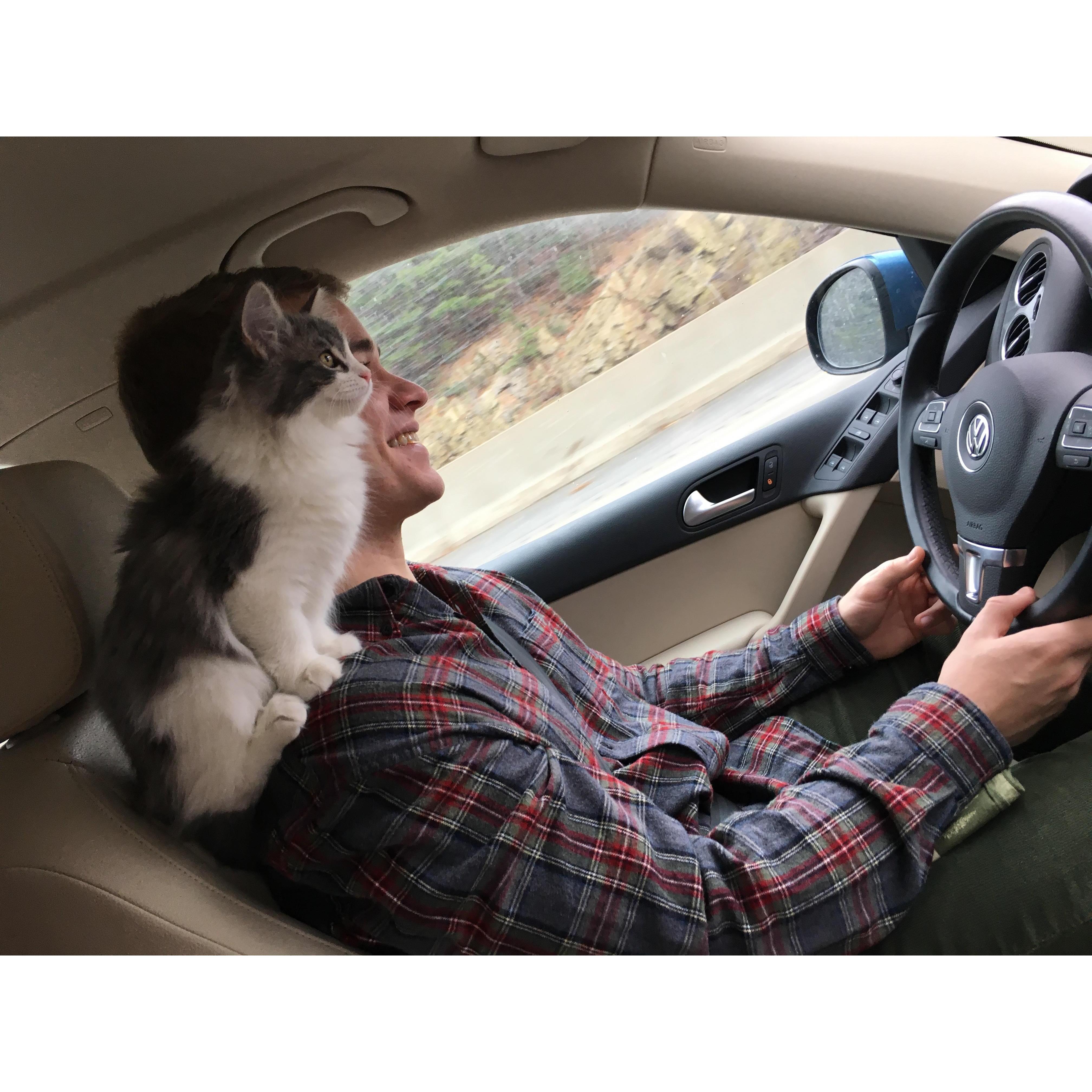 In December 2018 we decided to grow our family by one spunky kitty, Waffle.  She also turned out to be quite the co-pilot.
