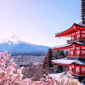 Japan Trip!
