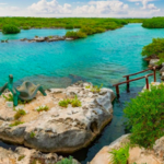 Yal-Kú Cenote Lagoon