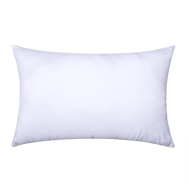 MIULEE Throw Pillow Insert Premium Pillow Stuffer Sham Rectangle for Decorative Cushion Bed Couch Sofa 20x26 Inch