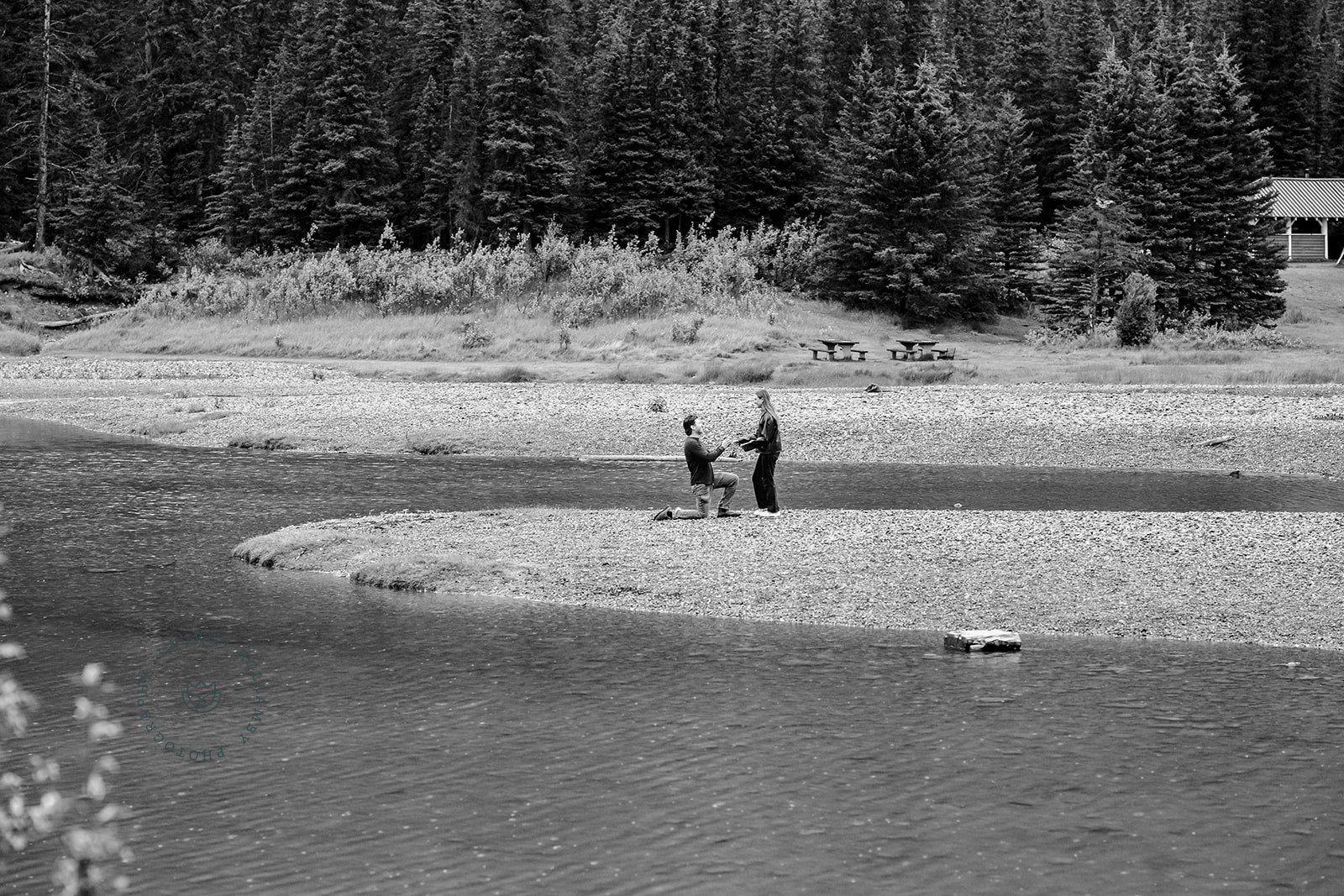 The Wedding Website of Bryanna Prebushewski and David Fjeld