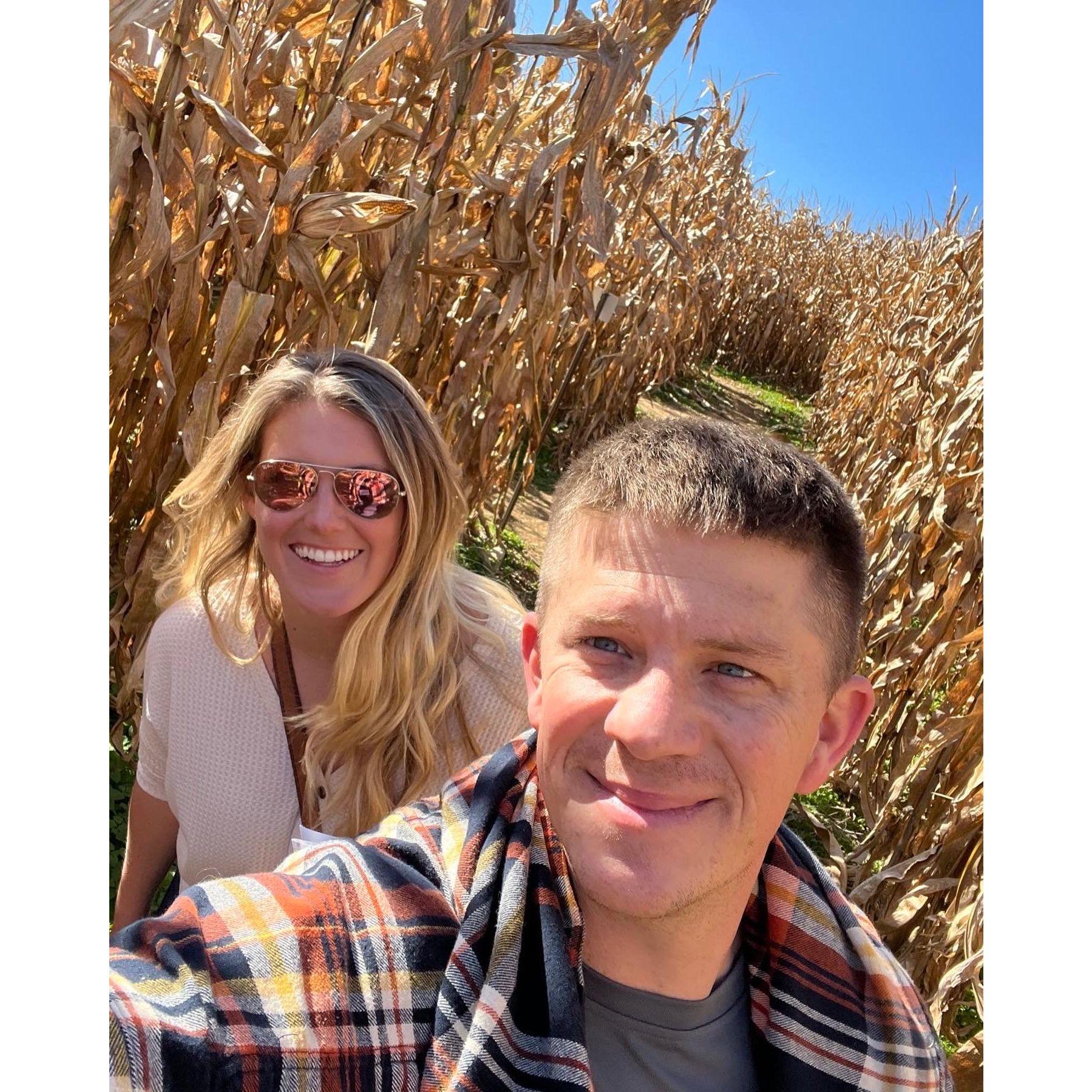 Getting lost in a corn maze