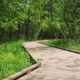 Huff Park