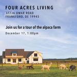Tour of Alpaca Farm