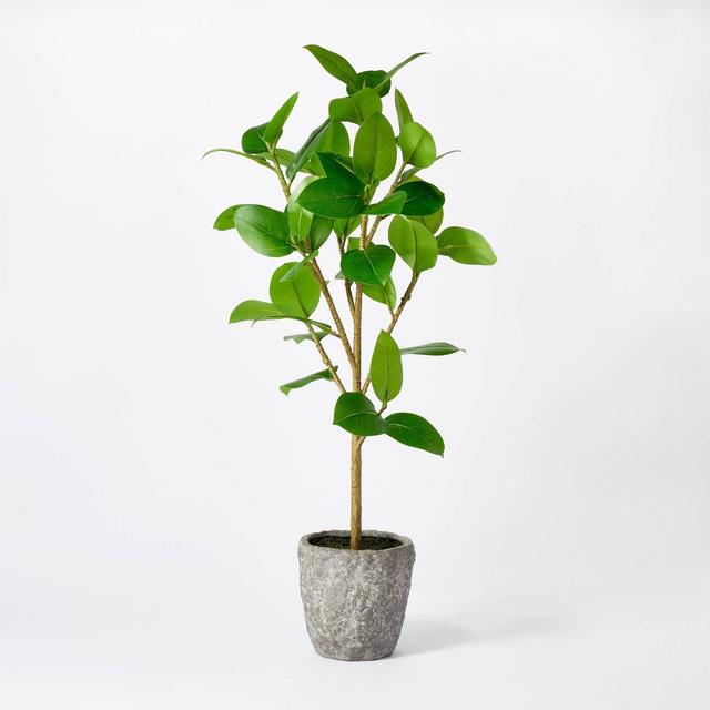 Banyan Tree Potted - Threshold™ designed with Studio McGee