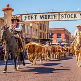 Fort Worth Stockyards