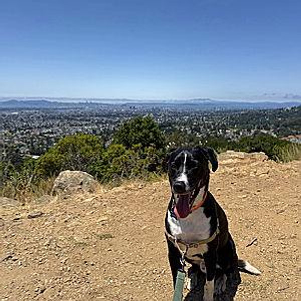 Cooper’s Honeymoon Retreat Fund
