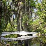 Magnolia Plantation and Gardens