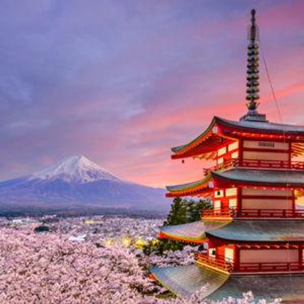 Our Japan Honeymoon Fund