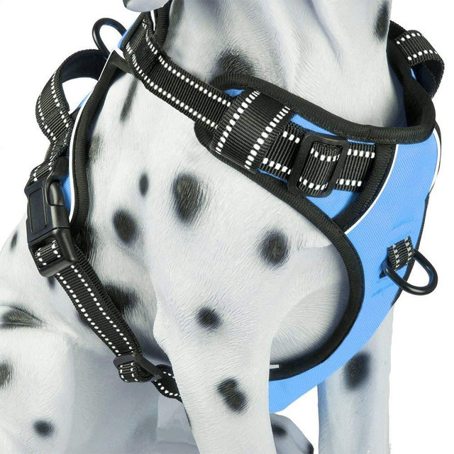PoyPet No Pull Dog Harness, Reflective Comfortable Vest Harness with Front & Back 2 Leash Attachments and Easy Control Handle Adjustable Soft Padded Pet Vest for Small to Large Dogs (Light Blue,S)