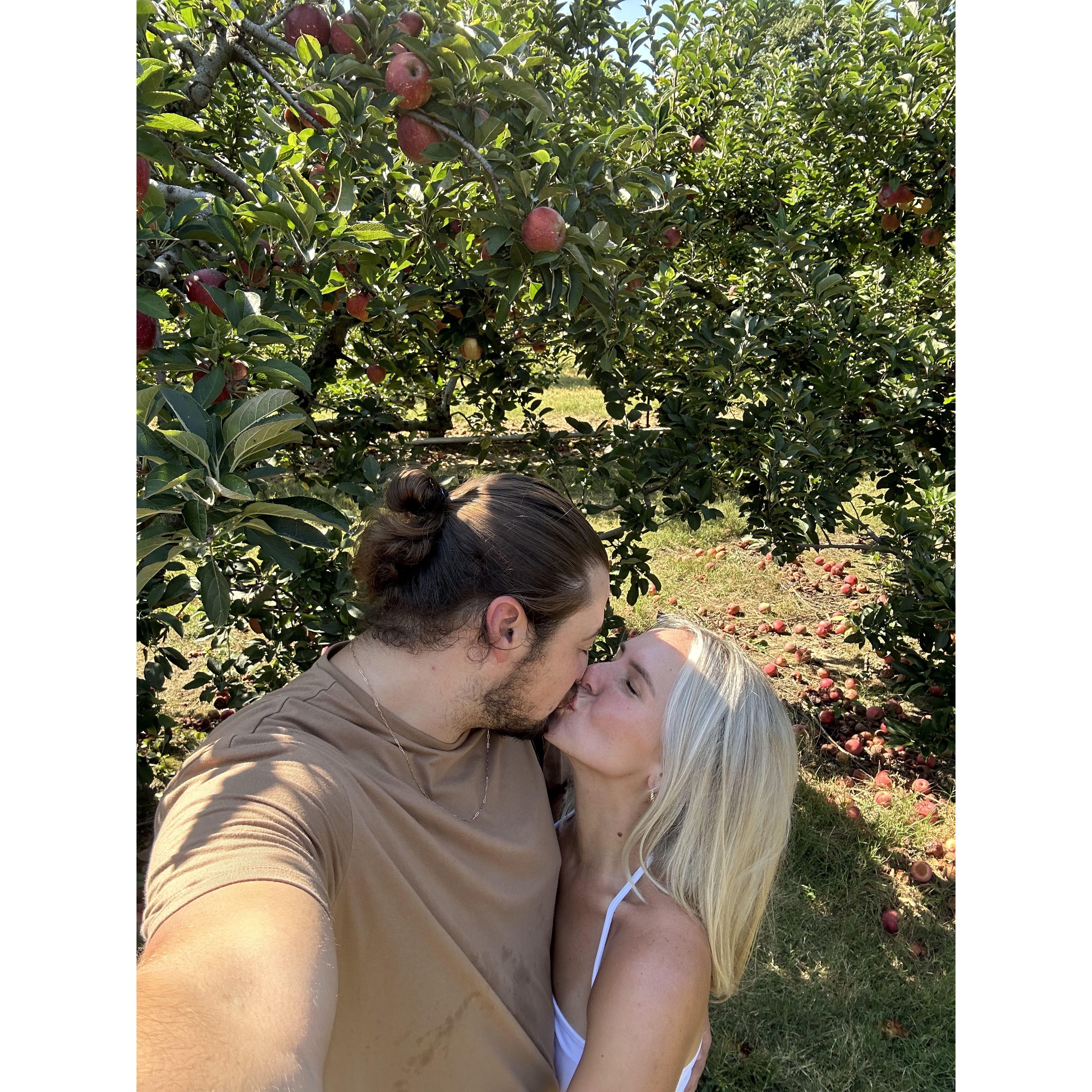 Did you know that apple picking is a tradition we do every year? Then we come home and Emily bakes an apple pie that lasts about two days! You may see a nod to this at the wedding!!