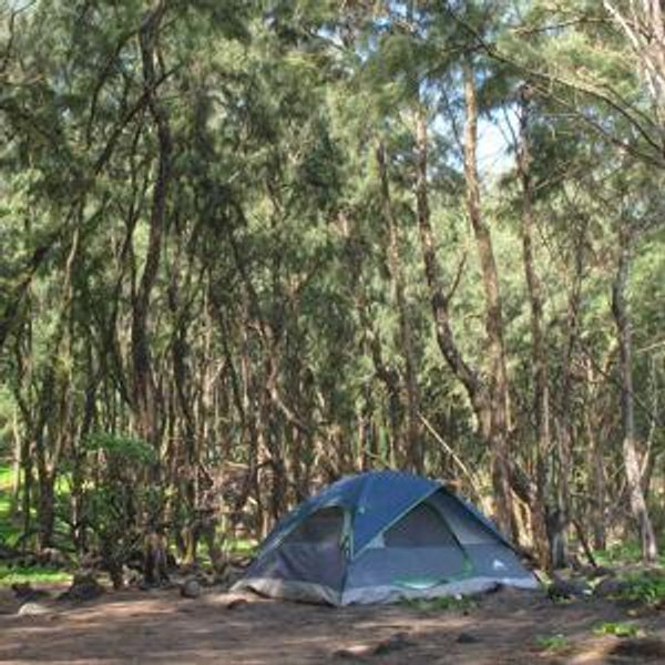 New Backpacking Gear